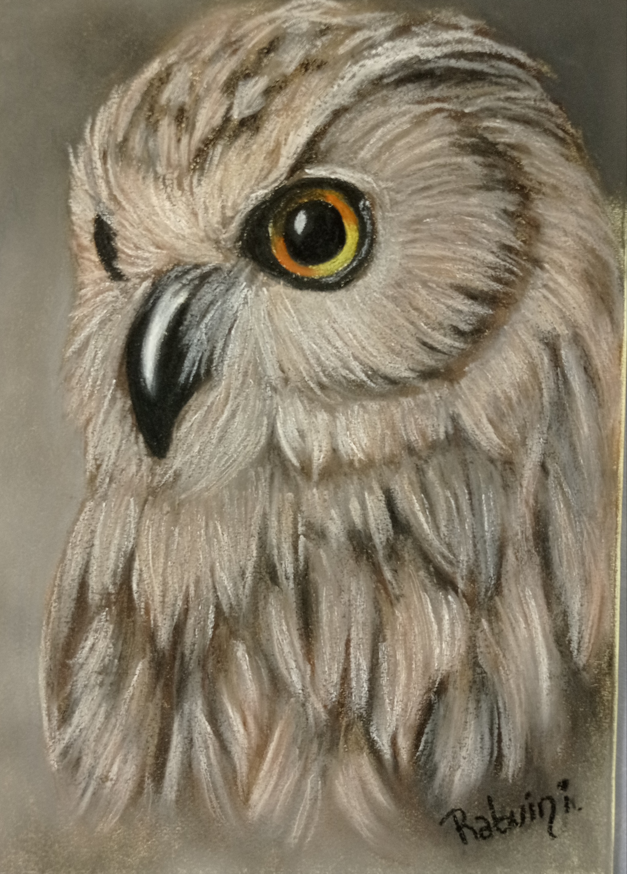 Búho